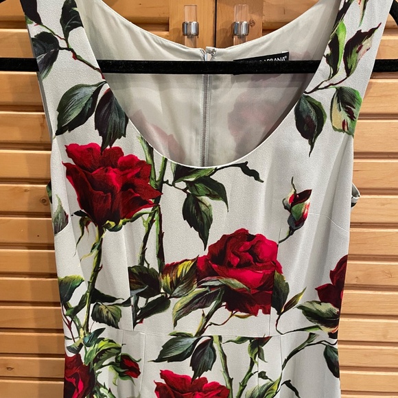 NWT Dolce & Gabbana Dress Mint Green and Red Roses - Picture 7 of 13